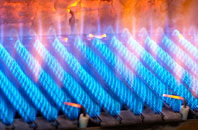 Droman gas fired boilers
